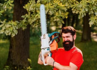 What Can a Tree Surgeon Do for You? Tree Surgeon