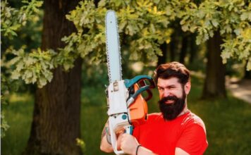 What Can a Tree Surgeon Do for You? Tree Surgeon
