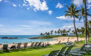 7 Tips For An Affordable And Amazing Trip To Hawaii Trip to Hawaii