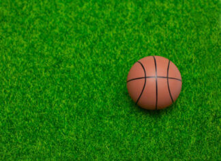 The Benefits of Using Professional Turf Products for Sports Fields Turf Products