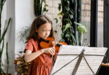 The Virtual Virtuoso: Your Guide to the Online Violin Shop Experience Violin Shop Experience