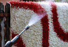 A Step-by-Step Guide to Washing and Maintaining Your Washable Rugs Washable Rugs