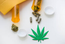 Tips for Safe and Easy Weed Delivery Weed Delivery