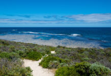 Unique Experiences That Make Traveling to Western Australia Truly Unforgettable Western Australia
