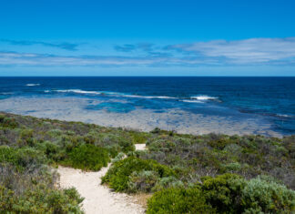 Unique Experiences That Make Traveling to Western Australia Truly Unforgettable Western Australia