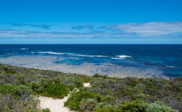 Unique Experiences That Make Traveling to Western Australia Truly Unforgettable Western Australia