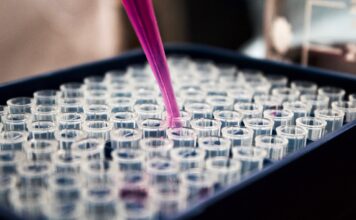 Why Are Paid Clinical Trials Essential? Clinical Trials