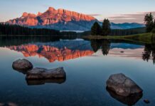 Why Should You Invest in a Living Trust? Why Should You Invest in a Living Trust