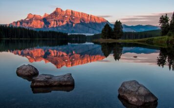 Why Should You Invest in a Living Trust? Why Should You Invest in a Living Trust