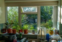 Troubleshooting and Preventing Window Issues at Home Window Issues at Home