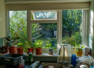 Troubleshooting and Preventing Window Issues at Home Window Issues at Home