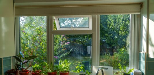 Troubleshooting and Preventing Window Issues at Home Window Issues at Home