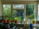 Troubleshooting and Preventing Window Issues at Home Window Issues at Home