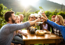 How to Choose the Best Wine Tour Transportation for Your Group Wine Tour