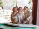 The Top 14 Zoos And Animal Parks In Kent And East Sussex For A Wild Day Out Animal Parks