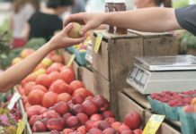 Brands That Embrace the Farm-to-Table Ethos in Their Business Model