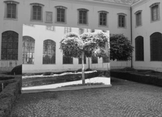 How To Make Money From Video Art and Short Films How To Make Money From Video Art and Short Films