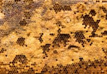 What Are The Benefits Of Natural Beeswax? natural beeswax