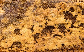 What Are The Benefits Of Natural Beeswax? natural beeswax
