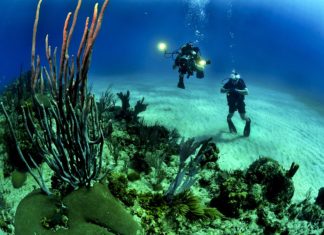 Top Places To Experience Best Scuba Diving Adventure This Summer