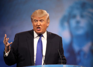 How Donald Trump’s Plan About Mexico Border Wall Would Work For US