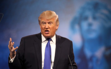 How Donald Trump’s Plan About Mexico Border Wall Would Work For US