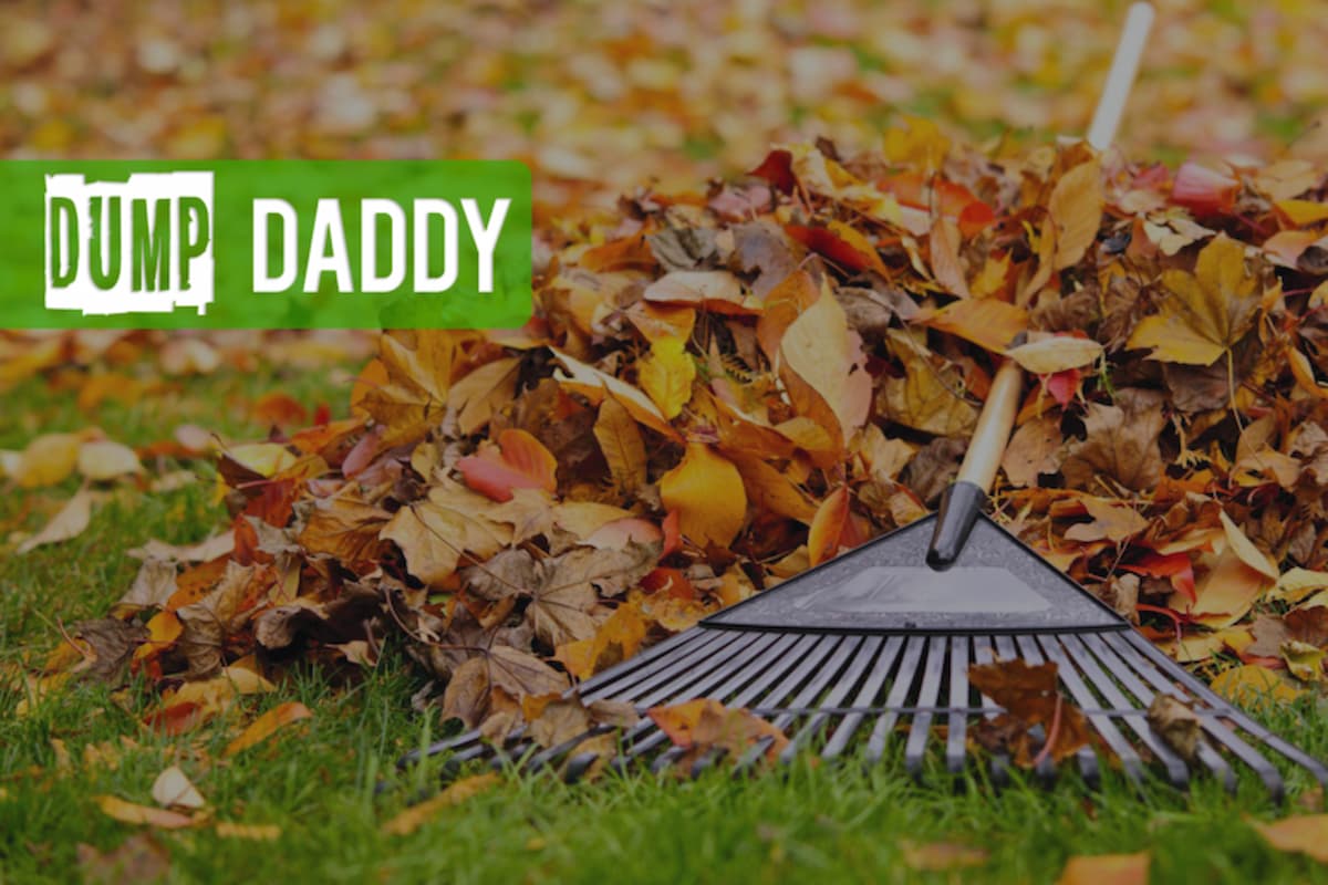 Dump Daddy