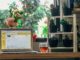 Why You Really Need to Try Email List Cleaning
