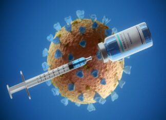 The HSV Horizon: Unveiling Revolutionary Vaccine Strategies to Halt the Spread of Herpes Simplex Virus
