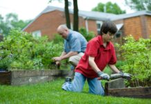 Spruce Up Your Garden And Give Your Home a New Kerb Appeal