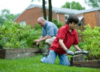 Spruce Up Your Garden And Give Your Home a New Kerb Appeal
