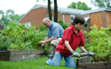 Spruce Up Your Garden And Give Your Home a New Kerb Appeal