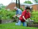 Spruce Up Your Garden And Give Your Home a New Kerb Appeal