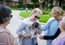 Benefits of Bringing Pets to Senior Living Communities