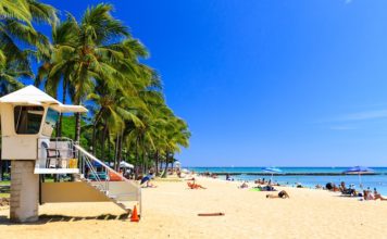 Top 5 Beaches You Must Visit Before You Die