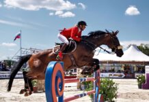 The Fundamentals of Horse Jumping horse jumping