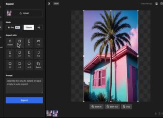 How an Image Resizer Supports Faster Web Performance Image Resizer