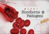Complete Bloodborne Pathogens Course for Certification Bloodborne Pathogens