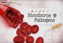 Complete Bloodborne Pathogens Course for Certification Bloodborne Pathogens