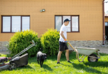 6 Yard Cleanup Tools You Didn’t Know You Needed Until Now Yard Cleanup Tools