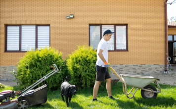 6 Yard Cleanup Tools You Didn’t Know You Needed Until Now Yard Cleanup Tools