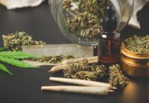 Top Cannabis Options to Suit Every Lifestyle and Preference