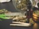 Top Cannabis Options to Suit Every Lifestyle and Preference