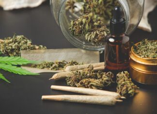 Cannabis Culture: How High-Quality Strains are Changing the Industry Cannabis Culture