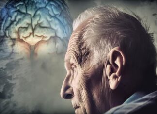 Effective Memory Support Strategies for Seniors to Boost Brain Health Brain Health
