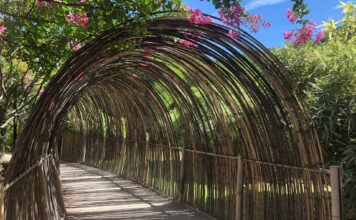 Is A Pergola Or An Awning Better? Pergola Or Awning