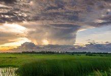 How To Protect And Improve The Environment Improve The Environment