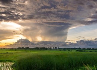 4 Tips to Prepare for Hurricane Season Improve The Environment