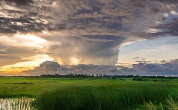 How To Protect And Improve The Environment Improve The Environment