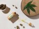 High Standards: How to Choose the Right Weed Store for You Weed Store